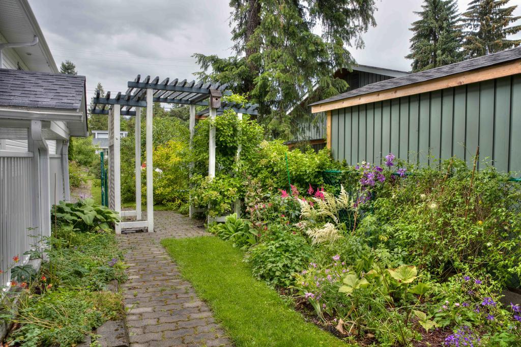 Hummingbird Bed And Breakfast Clearwater Exterior photo
