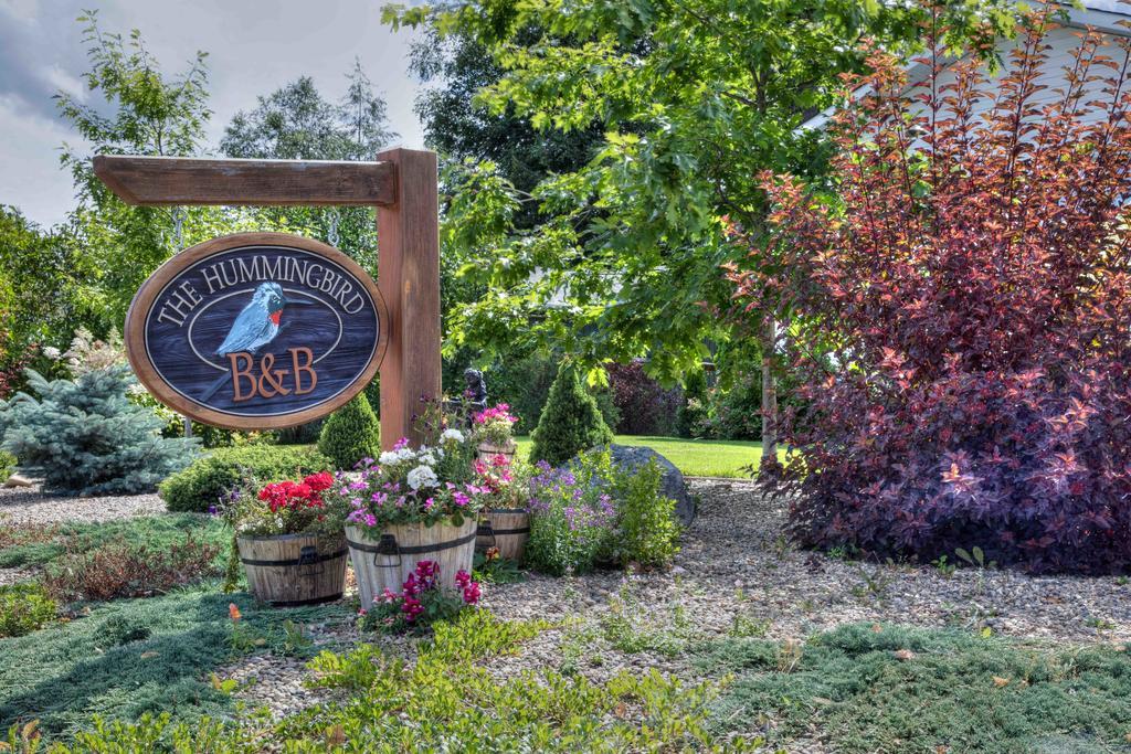 Hummingbird Bed And Breakfast Clearwater Exterior photo
