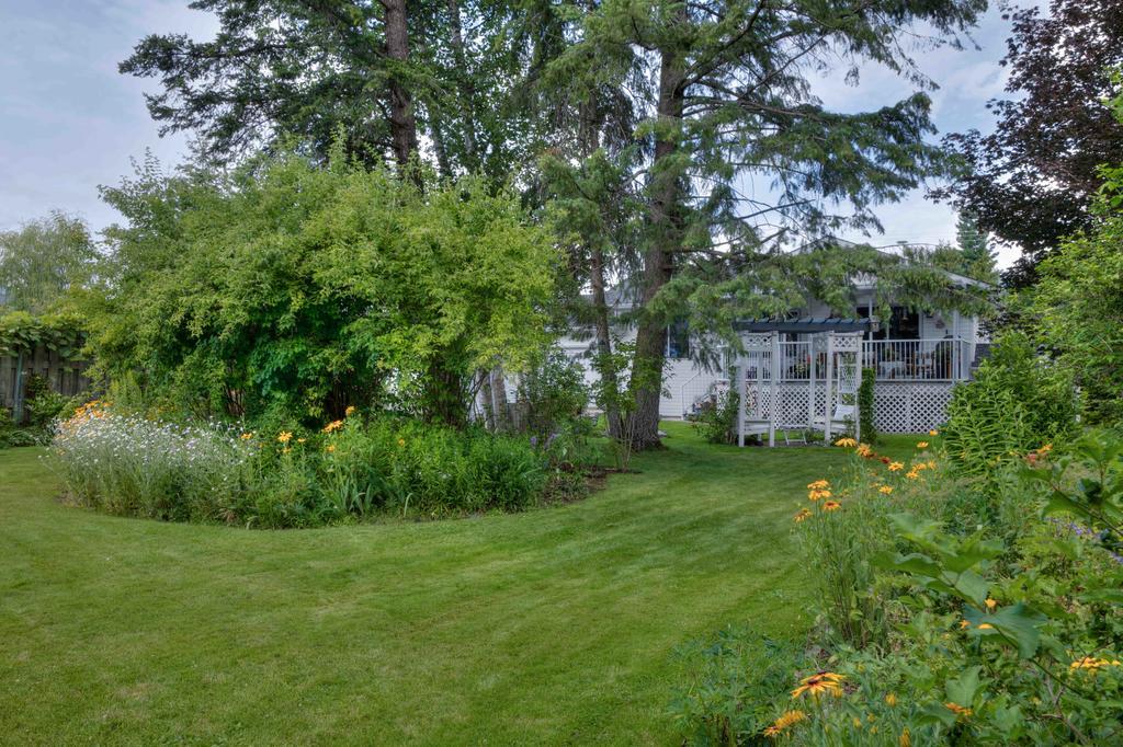 Hummingbird Bed And Breakfast Clearwater Exterior photo