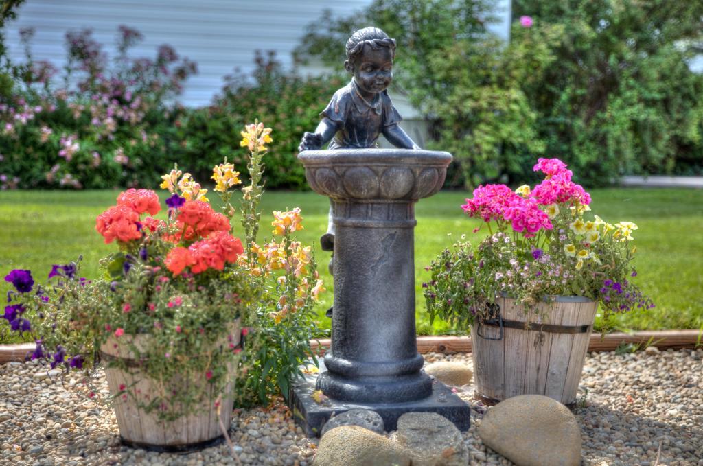Hummingbird Bed And Breakfast Clearwater Exterior photo